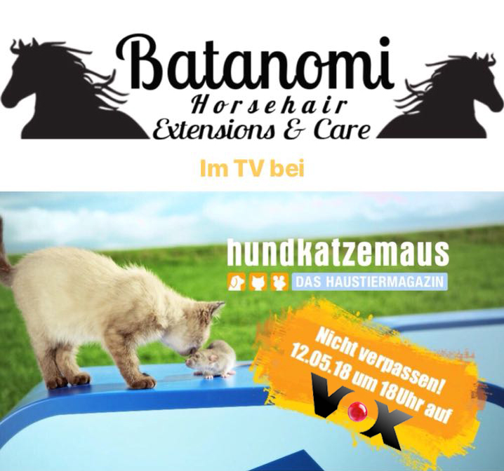 skrue pendul Dejlig Batanomi Pferdehaar-Extensions im TV am 12.05 um 18:00 Uhr bei Hund Katze  Maus auf VOX – Batanomi Pferde-Extensions